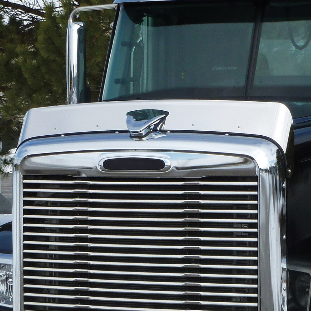 Freightliner Coronado (2010+) - 430 Stainless Steel Bug Shield