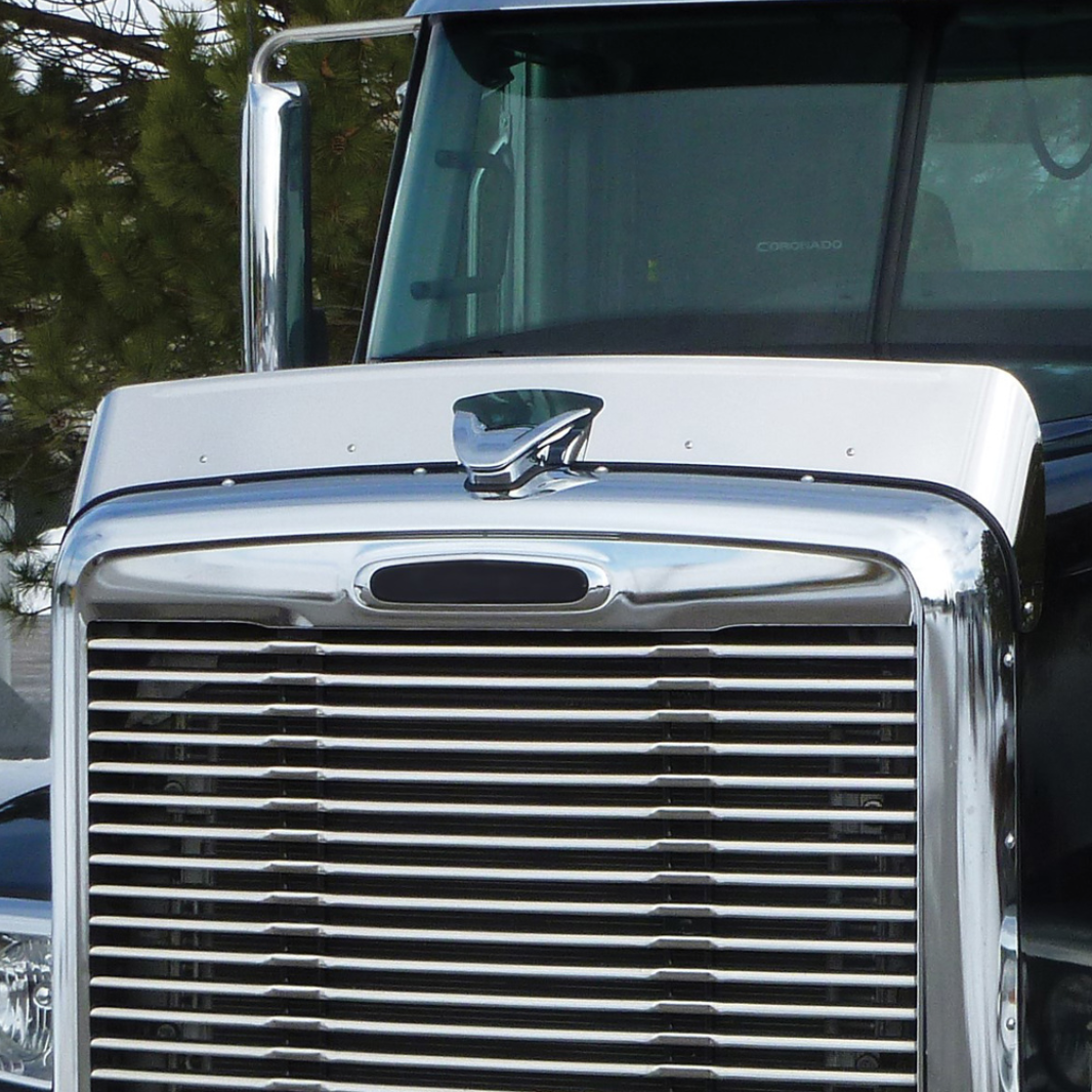 Freightliner Coronado SD (2013+) - 430 Stainless Steel Bug Shield