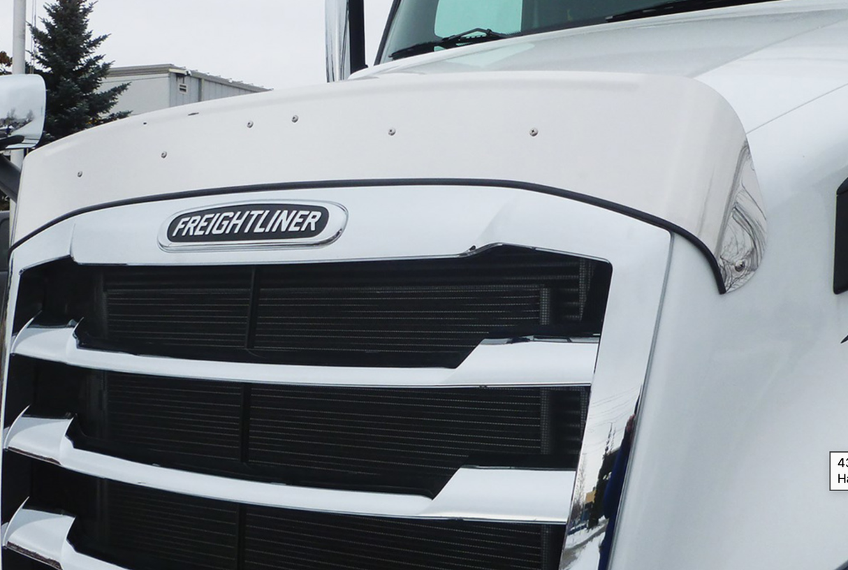 Freightliner Cascadia (2018-2024) - 430 Stainless Steel Bug Shield With Hood Tilt Handle