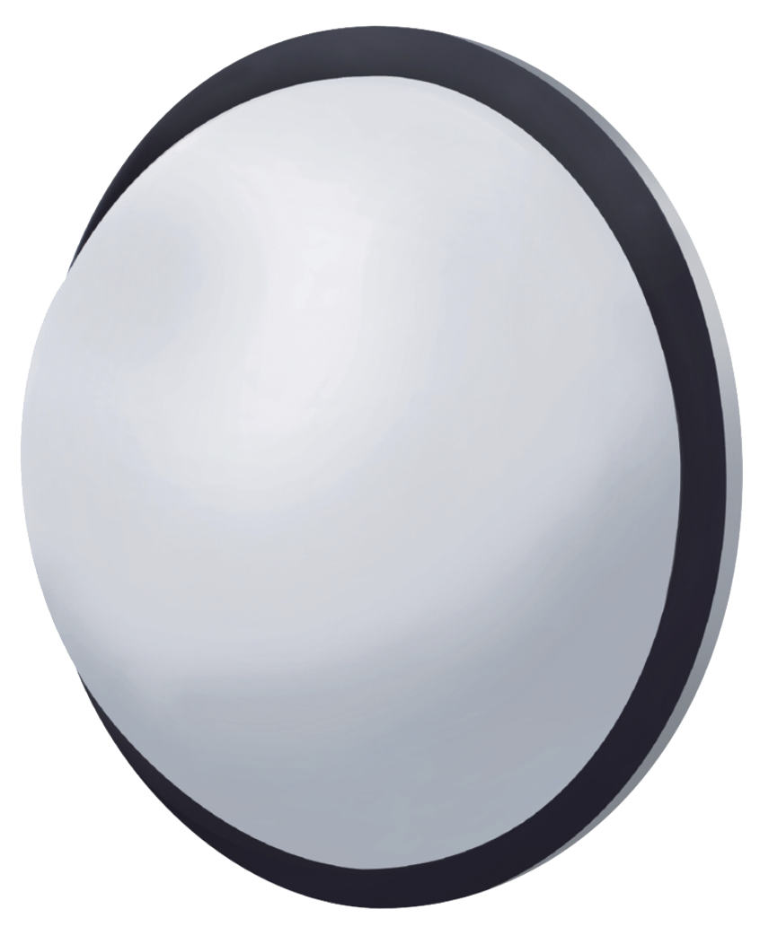 Convex Mirror - 8-1/2" 430 Stainless Steel Full Dome
