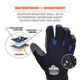 Ergodyne 817WP Black Waterproof Winter Work Gloves - HD Truck Source